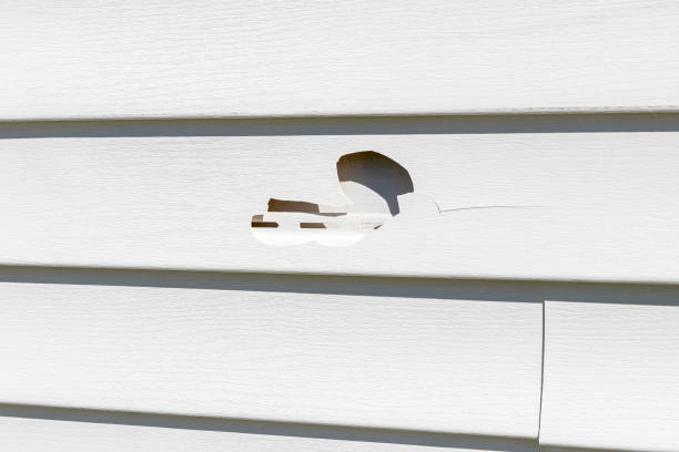 Storm Damage Siding Repair in Washoe Valley, NV