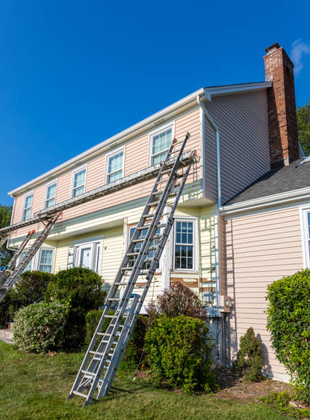 Best Custom Trim and Detailing for Siding  in Washoe Valley, NV