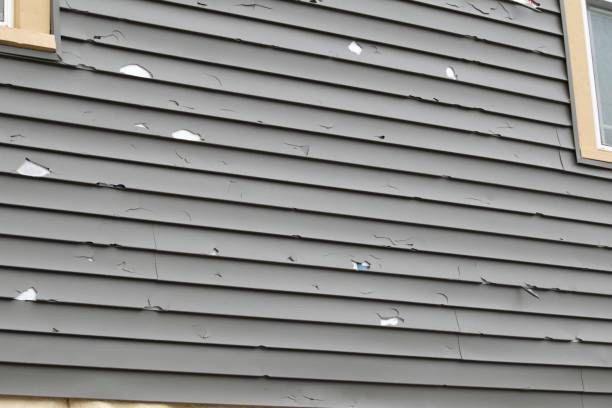 Best Engineered Wood Siding  in Washoe Valley, NV