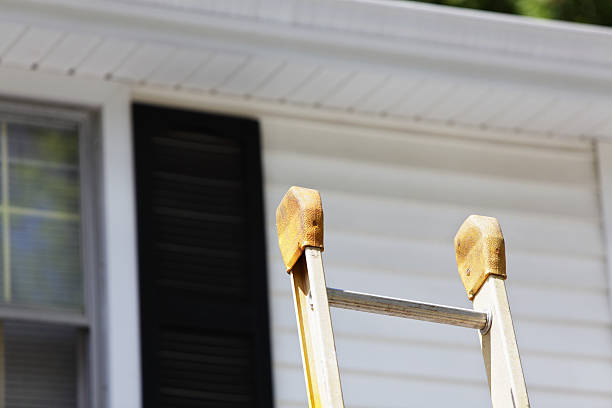 Historical Building Siding Restoration in Washoe Valley, NV