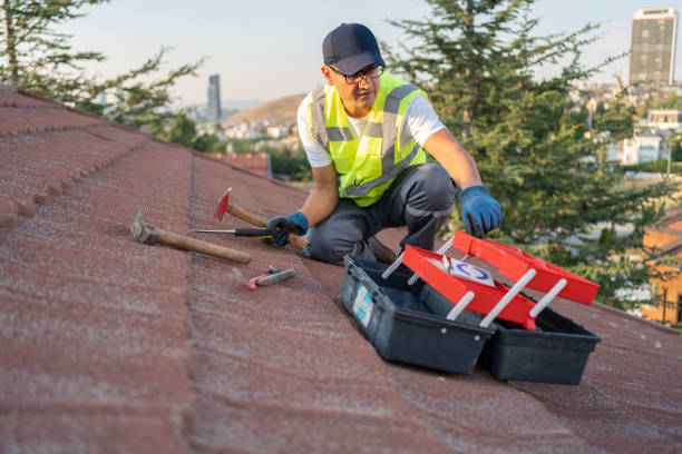 Best Stucco Siding  in Washoe Valley, NV